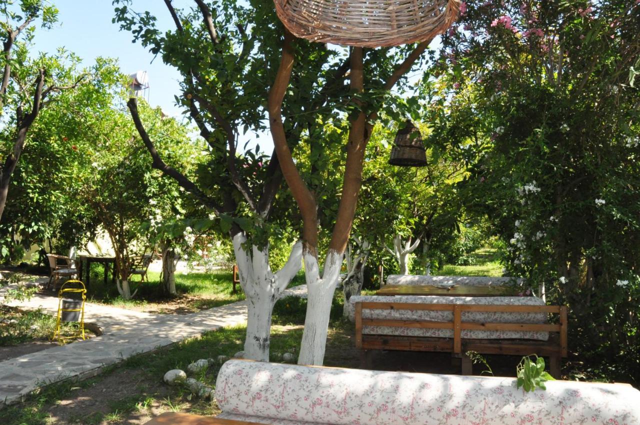 San Simon Hotel Çıralı المظهر الخارجي الصورة