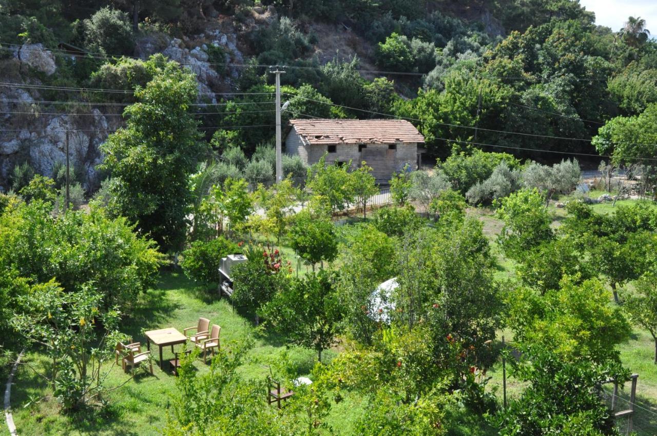San Simon Hotel Çıralı المظهر الخارجي الصورة